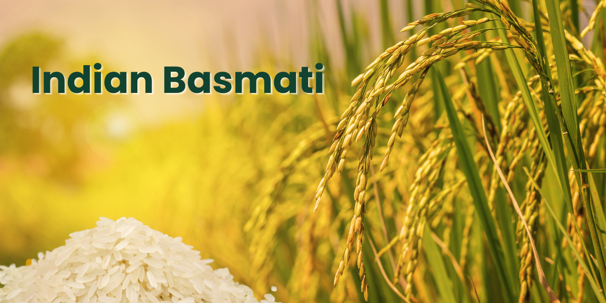 Indian Basmati
